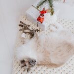 День школы что подарить image_622.jpg