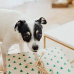 Какие подарки можно сделать родителям image_790.jpg