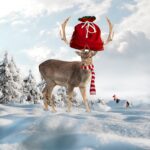 Какой подарок подарить жене на день images426.jpg